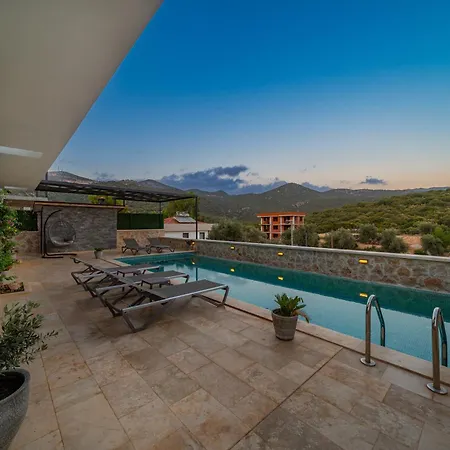 Lizya Villa *
