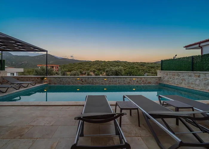 Lizya فيلة كاس