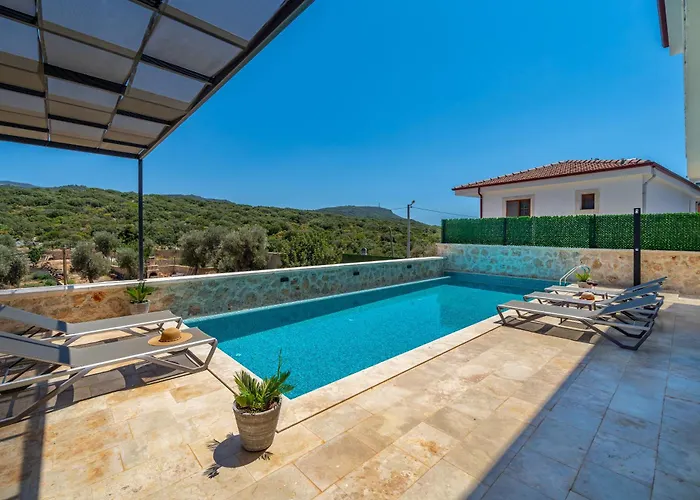 فيلة Lizya كاس